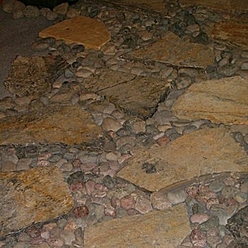 Fuar Katılımları