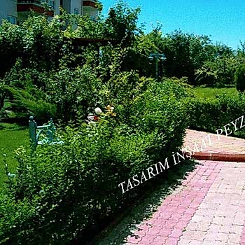 Bitkisel Peyzaj Uygulamaları