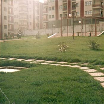 Bitkisel Peyzaj Uygulamaları