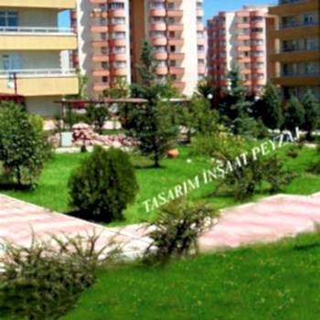 Bitkisel Peyzaj Uygulamaları