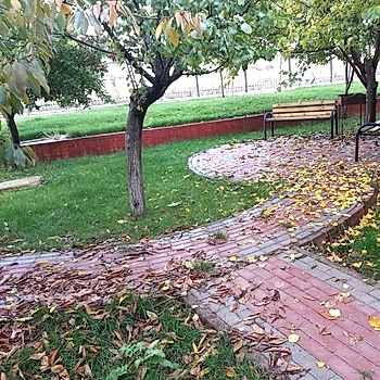 Yapısal Peyzaj Uygulamaları