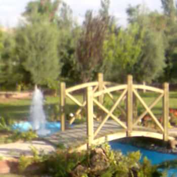 Süs Havuzları